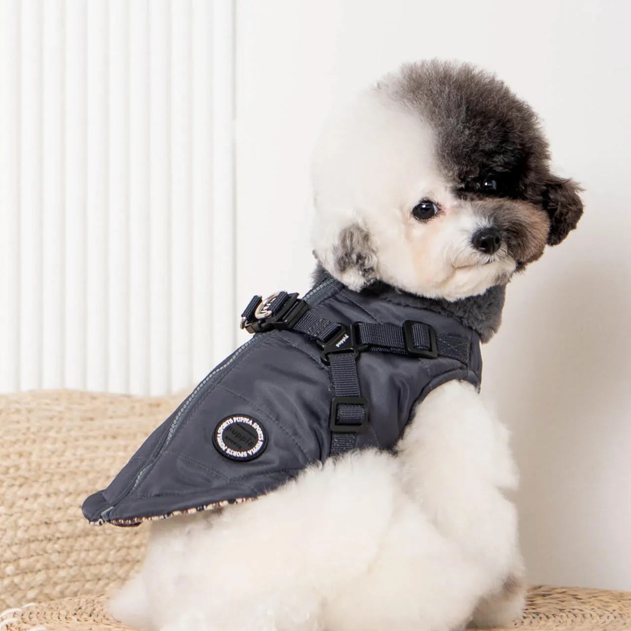 donavan harness coat - grey
