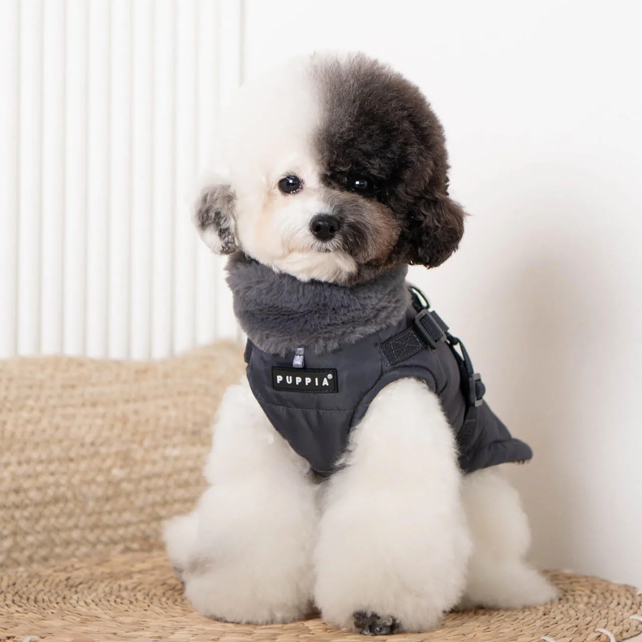 donavan harness coat - grey